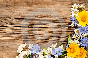 Wildflowers. Studio photography. Camomile, jasmine, cornflower,