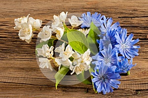 Wildflowers. Studio photography. Camomile, jasmine, cornflower,