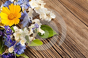 Wildflowers. Studio photography. Camomile, jasmine, cornflower,