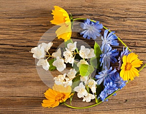 Wildflowers. Studio photography. Camomile, jasmine, cornflower,