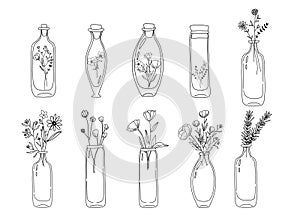 Wildflowers in vintage glass bottles, flowers in a jar, botanical clipart