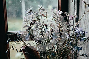 Wildflowers on a window in an old house