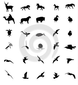 Wildlife animal silhouttes