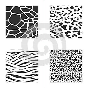 Wildlife animal skin texture print of tiger, leopard, giraffe and zebra. Vector illustration isolated on white background