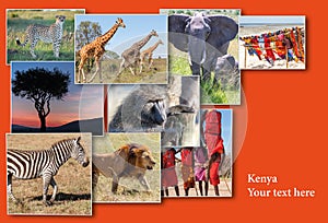 Wildlife and beautiful sunset at the Kenya.
