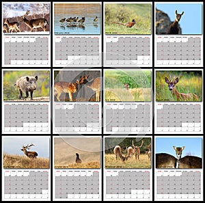 Animali e piante calendario 2016 