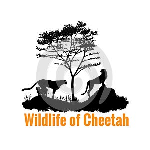 Wildlife of Cheetah black shadow vector design