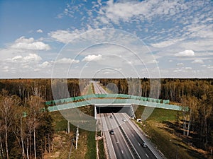 Wildlife Crossing - Bridge over a highway in forest