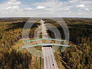 Wildlife Crossing - Bridge over a highway in forest