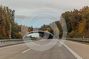 Wildlife crossing over D11 expressway, Czech Republ