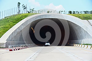 Wildlife crossing over on highway in forest road tunnel traffic car speed on street - Bridge for animals over a highway