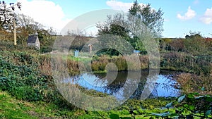 Wildlife Garden pond and bird hide, Cornwall , Uk