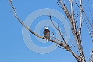 Wildlife habitat at Loess Bluff National Wildlife Refuge