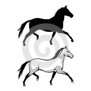 Wildlife. Horse that jumps. Vector horse.