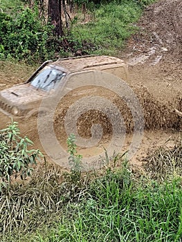 Wildlife jeep love photo