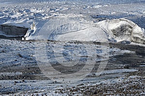 Wildlife and landscapes of South Georgia