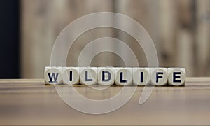 Wildlife letter cubes