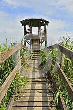 Wildlife Observation Tower