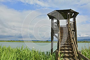 Wildlife Observation Tower