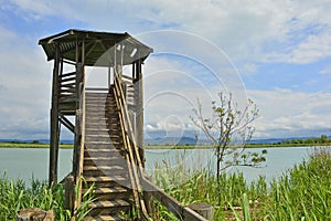 Wildlife Observation Tower