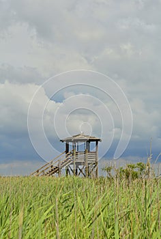 Wildlife Observation Tower