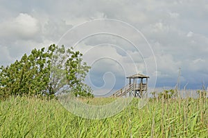 Wildlife Observation Tower