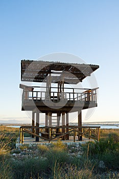 Wildlife observation tower