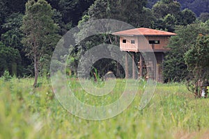 Wildlife observation tower.