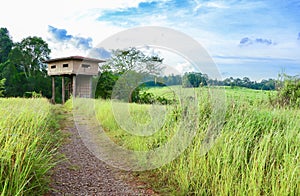 Wildlife observation tower in Khao yai national park