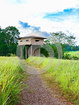 Wildlife observation tower in Khao yai national park, Thailand