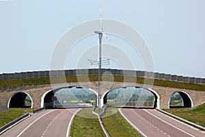 Wildlife overpass on A4 autostrada highway in Eastern Poland