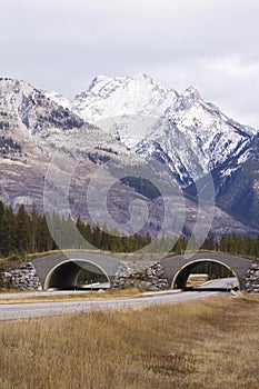 Wildlife overpass along Trans Canada highway