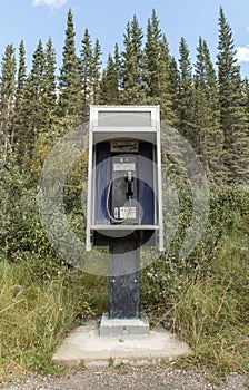 Wildlife payphone