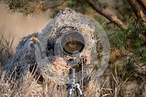 Wildlife photographer in the ghillie suit working