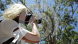 Wildlife photographer with koala