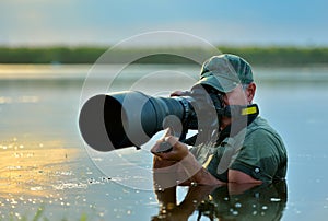 Wildlife photographer outdoor, standing in the water