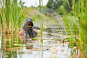 Wildlife photographer outdoor, standing in the water. Wildlife photographer in summer time working in the wild. Wildlife