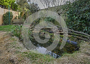 Wildlife pond in a suburban garden