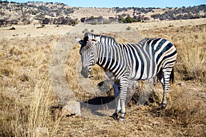 Wildlife preserve in Gauteng