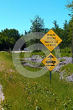 Wildlife on road warning sign with bumps ahead