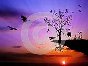 Wildlife sunset birds colorful illustration