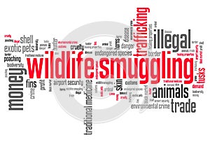 Wildlife trafficking