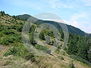 The mountain range of the Marmaros of the Ukrainian Carpathians near the town of Rakhiv of the Transcarpathian region. Ukraine. 08