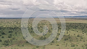 Wildlife vacation, driving through a game reserve in Laikipia, Kenya. Aerial drone view of African