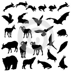 Wildlife vector isolated wild animals silhouettes