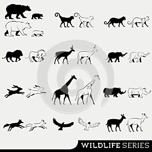 Wildlife Vector Series