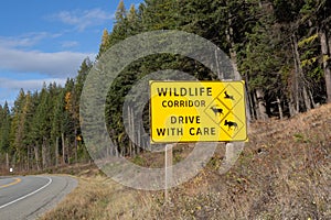 Wildlife warning sign in the forest highway