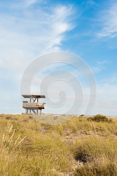 Wildlife watchtower