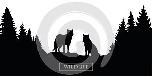 Wildlife wolf silhouette forest landscape black and white