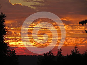 Wildly beautiful yellow-red sunset. Shooting in the nature.